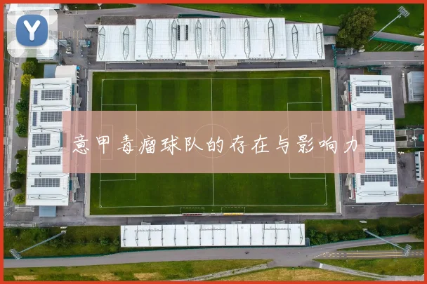 意甲毒瘤球队的存在与影响力
