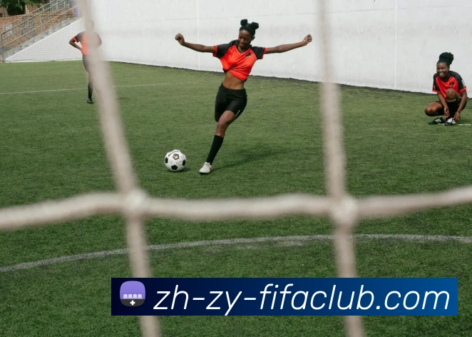 世界杯买球服务体系